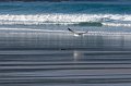 0114 Baie des Trepasses
